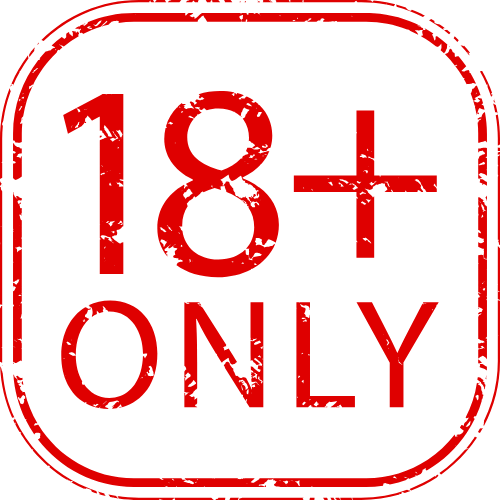 Louis13fr